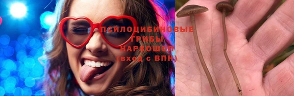стафф Куйбышев