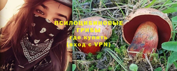дживик Ессентукская
