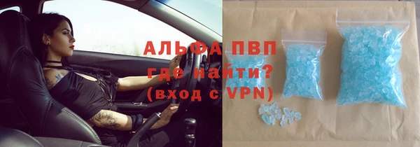 прущие грибы Коряжма