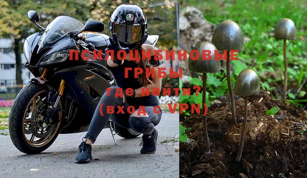 гидра Краснотурьинск