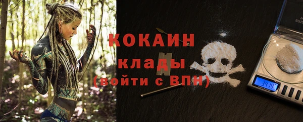 дживик Ессентукская