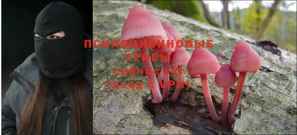 ГАЛЛЮЦИНОГЕННЫЕ ГРИБЫ Санкт-Петербург