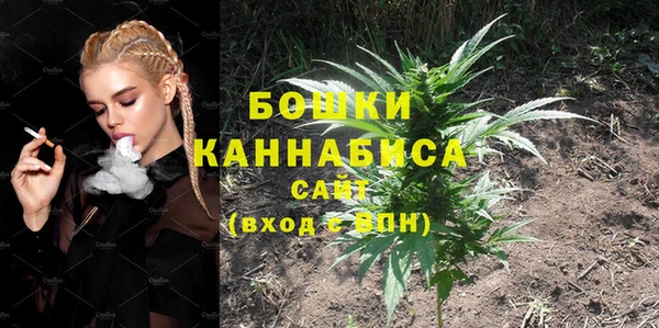 дмт Корсаков