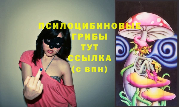 прущие грибы Коряжма
