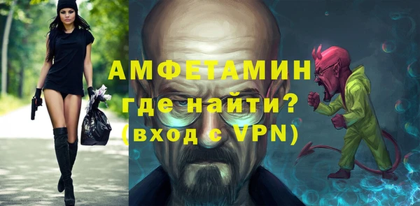 прущие грибы Коряжма