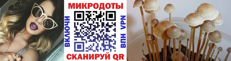 Купить где  Петровск  Псилоцибиновые грибы MAGIC MUSHROOMS 